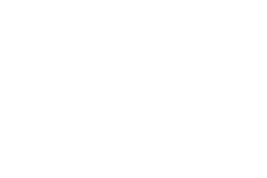 Logisticon