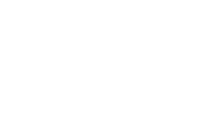 Mammoet